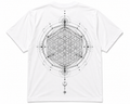Sacred Geometry